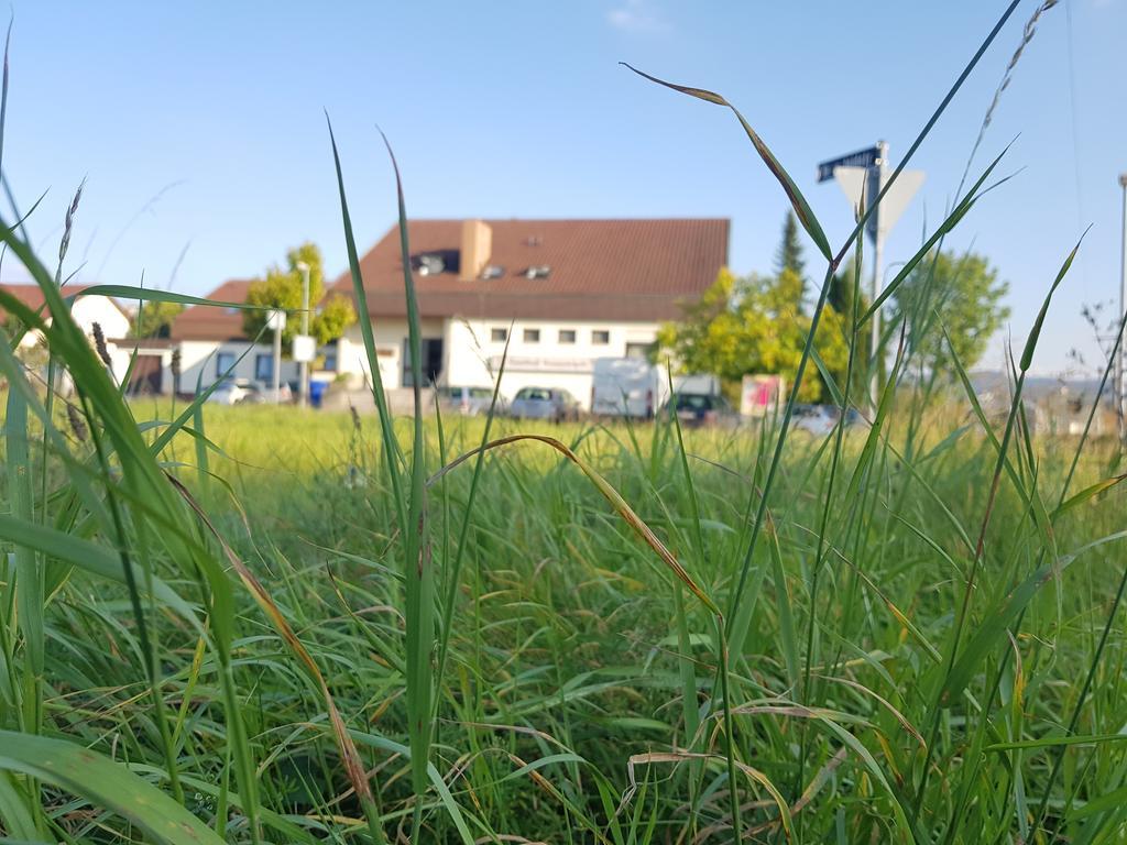 Hotel Rosenbach Reutlingen Exterior foto