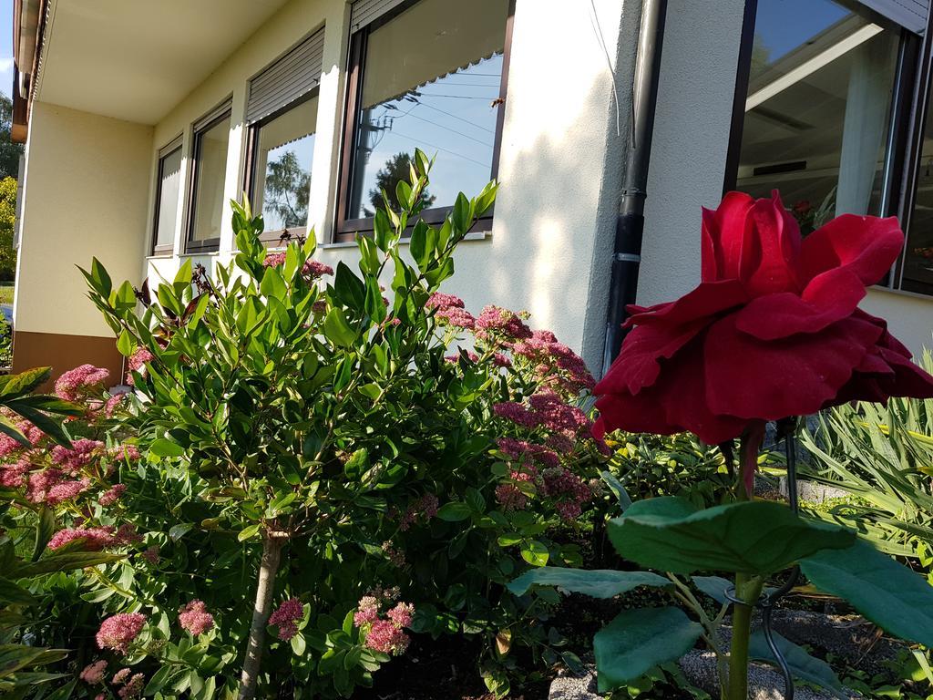Hotel Rosenbach Reutlingen Exterior foto